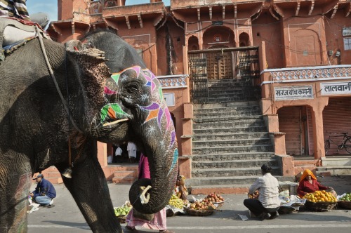 paumau: New Delhi, Inde.