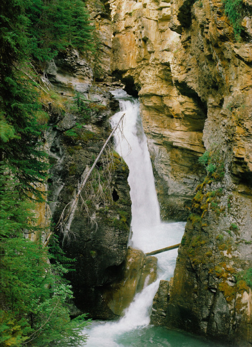 The Canadian Rockies, 1993