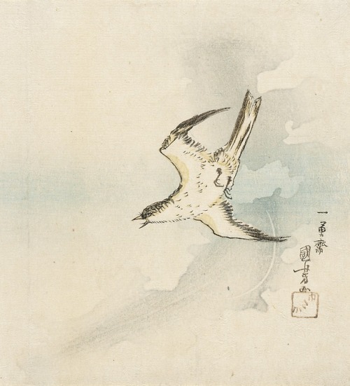 Cuckoo (Hototogisu), Utagawa Kuniyoshi (1798-1861)