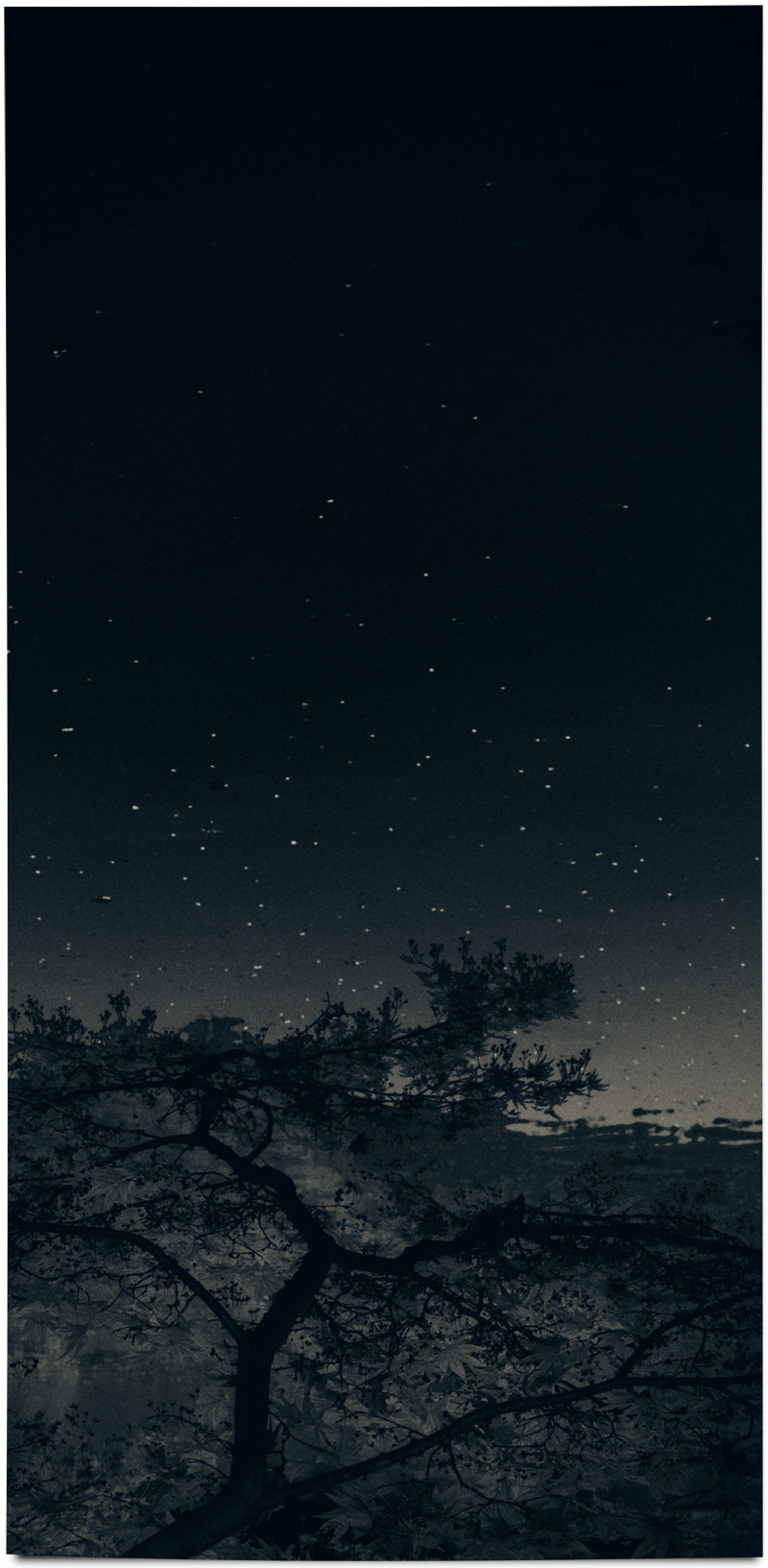 albarrancabrera: Albarran Cabrera Japan, 2015. #381. Cyanotype over platinum print.