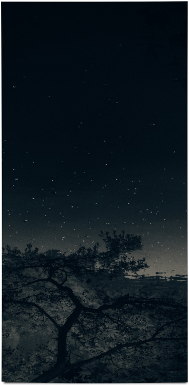 albarrancabrera: Albarran Cabrera Japan, 2015. #381. Cyanotype over platinum print. 