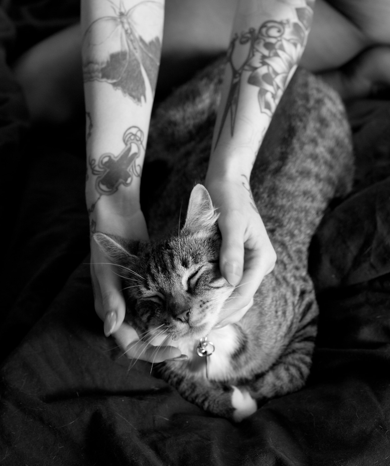 Justine Marie&rsquo;s hands and her kitty cat. photo by Theresa Manchester.