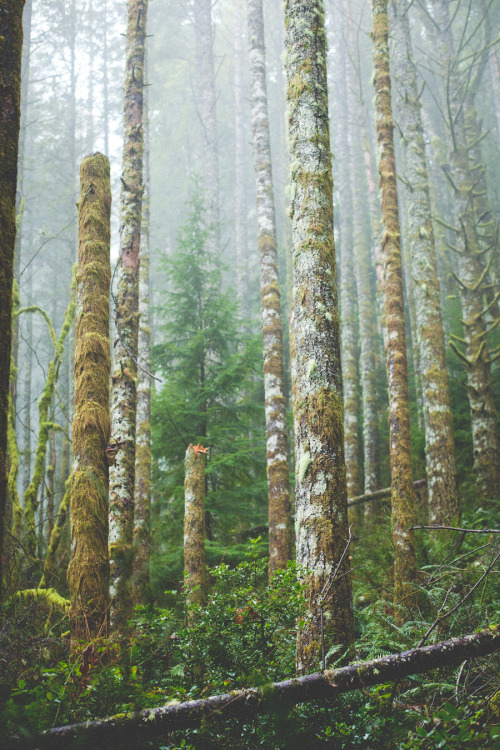 zionawaits: North Bend, WA Rattlesnake Ledge