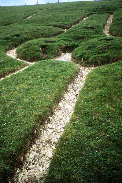 Cerne Abbas Giant’s phallaus in Dorset, England.He has long been believed to be prehistoric, b