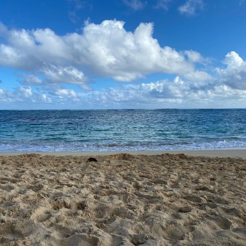 Hawaii (Feb 2020) (at Lanikai Beach,Kailua)
https://www.instagram.com/p/CGzqcaIJB5C/?igshid=jm31s7a26d4w