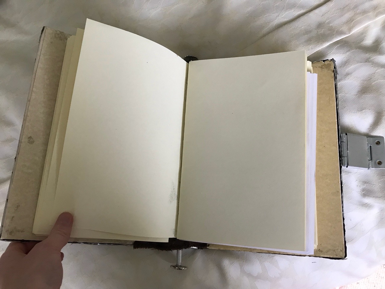 A Literal Garden of Words • Closeups of the Shepherd’s Journal from