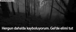 Melaphia