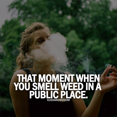 KUSHANDWIZDOM