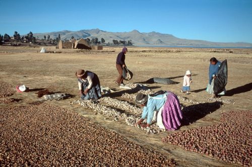 unrar:Bolivia 1991, Stuart Franklin.