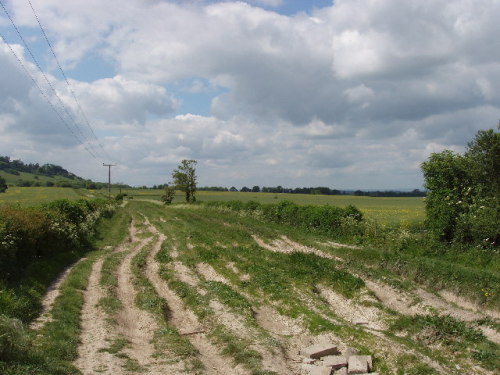 IcknieldWay by Hill Farm (Lewknor, Oxfordshire).TheIcknield Way is an ancient road in southern and e