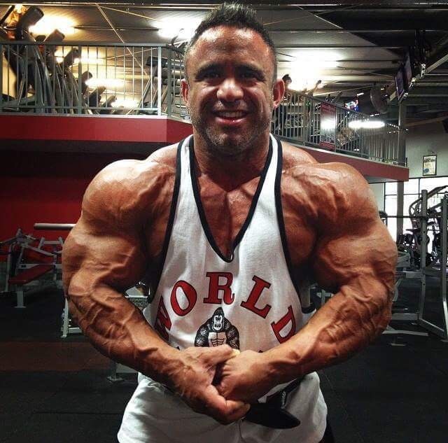 Peak Muscle