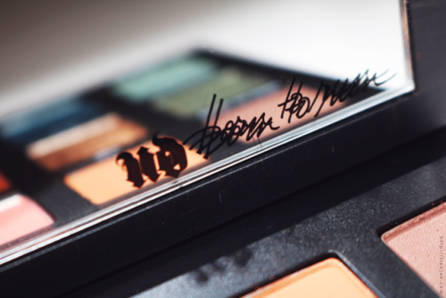 New Urban Decay Born To Run Eyeshadow Palette &amp; Vice Lipsticks Review, Swatches + Makeup Loo