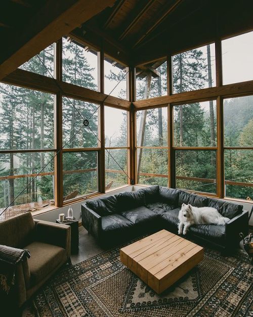 wild-cabins:  Rachel Barkman