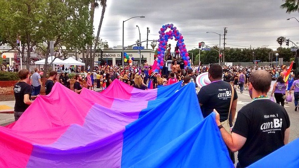 stilesisbiles:  Giant bi pride flags. The world needs more of them.