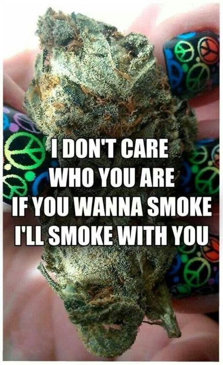 thecannapothead: I’ll smoke with you