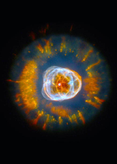 levantineviper:  The Eskimo Nebula in the constellation Gemini Image credit: NASA/ESA Hubble Space T