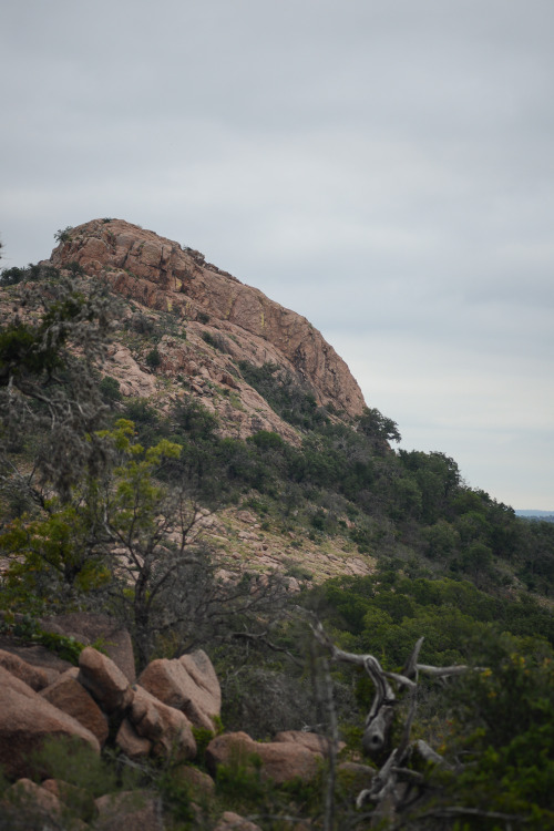 Texas landscapes have consistently humbled this Northeastern gal.  I get from the soil and spir