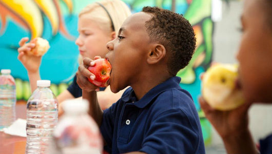 NYC school goes vegetarian
Meatless Monday is coming up at one New York City public school. And it will be followed by Meatless Tuesday, Meatless Wednesday, and Meatless Everyday.