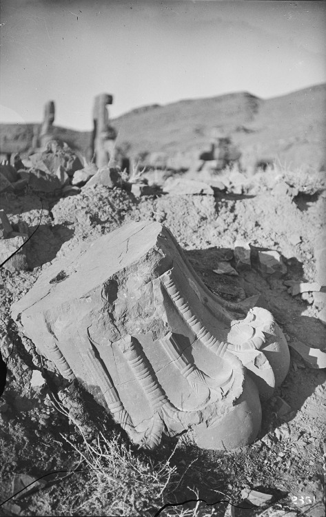 didoofcarthage:“Excavation of Persepolis (Iran): Throne Hall, Debris inside the Hundred-Column Hall: