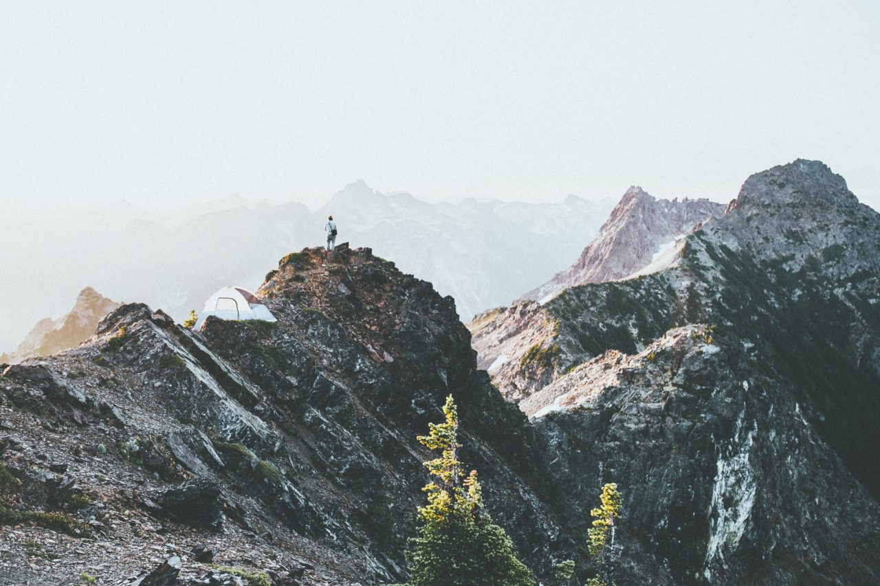 jaymegordon:  Mt. Macfarlane, BC  ➾ Jayme Gordon  Check out my Instagram! @jayme_gordon