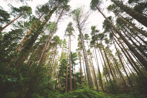 Spent some time amongst the big boys yesterday. | Slieve Donard, Mourne Mountains, Newcastle, Co.Dow