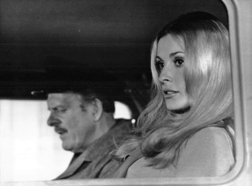 Sharon Tate  in a still taken during the filming of “The Thirteen Chairs” in London, 1969