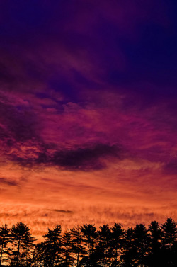 mistymorningme:  Sunset in Fallston by Johanna D Taylor on Flickr.