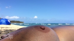 her2lips:  Another beautiful day at clothing optional, Polo Beach. Getting an all over tan.