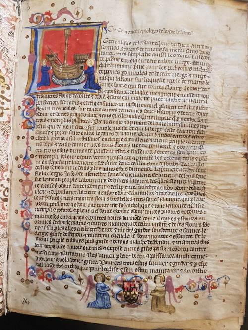 Ms. Codex 665 - [Statutes]Dreaming of the sea this summer? This manuscript features statutes in 151 