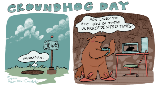 groundhog day