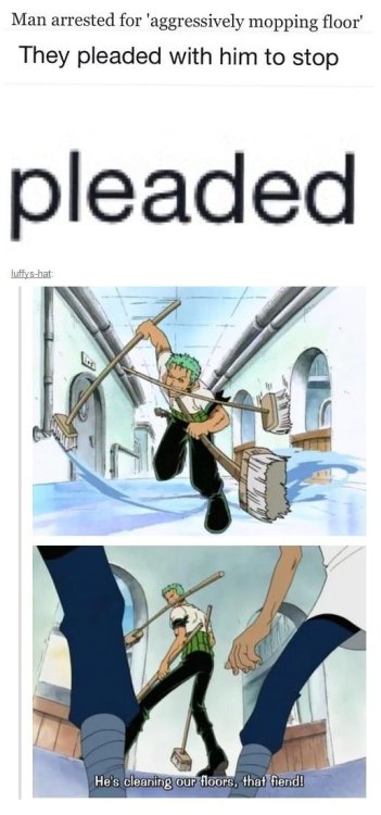 meme4u:  zoro
