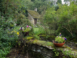 cageofstars:  Bibury, Gloucestershire, England