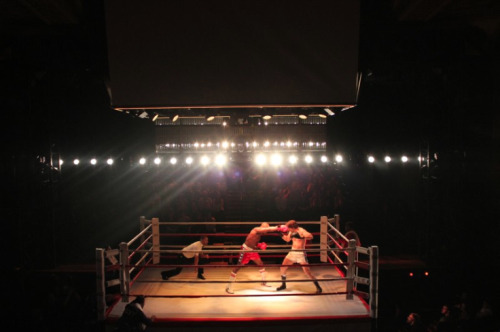 Rocky. Chris Barreca.Winter Garden Theatre.