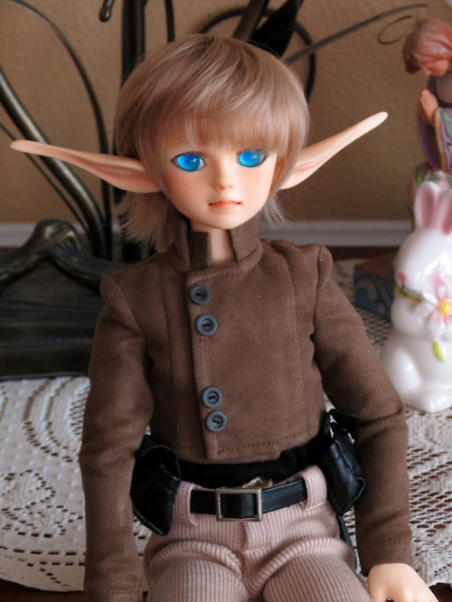 volks msd