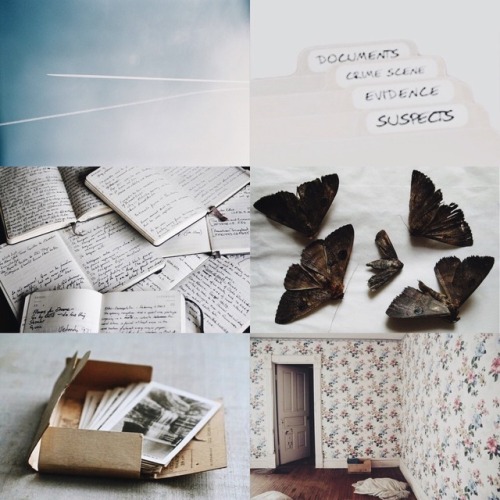 noahsjude: favourite 2017 books: The Lovely Bones by Alice SeboldThese were the lovely bones that ha
