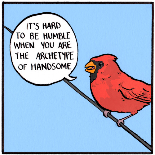 falseknees:An #oldknees remastered!