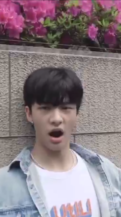 Rare photos of Hyunjin being a derpy dork  Reblog for good luck