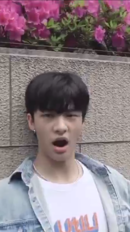 Rare photos of Hyunjin being a derpy dorkReblog for good luck