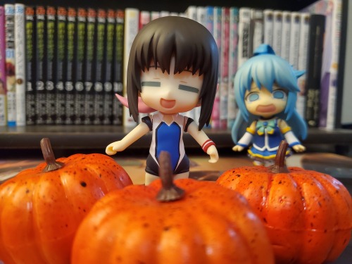 nendocorner