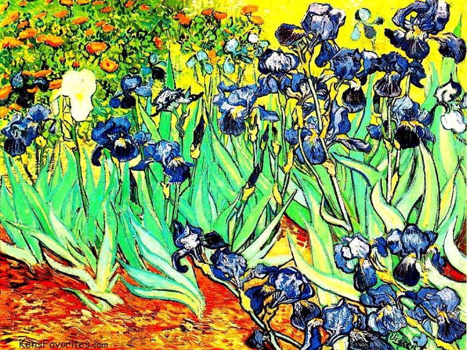 Vincent Van Gogh - Piante di Iris (1889)