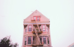 hanahaley:  san francisco summer 