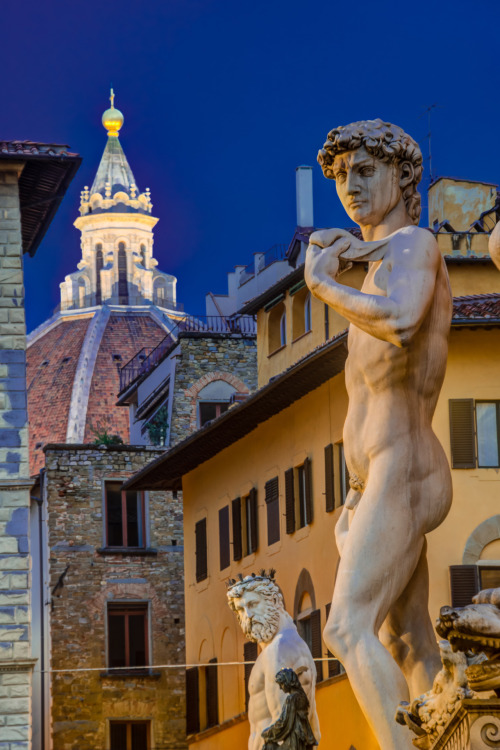 littleotter4hairyman:  Florence  The statue of David.  Proof that small dicks are works of art.