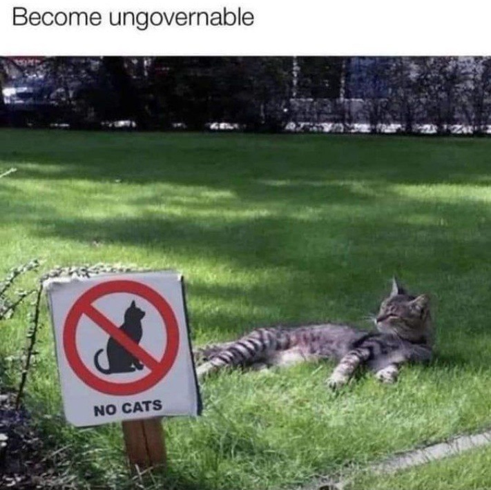 Cat by a no cats sign. Text at the top reads "become ungovernable".