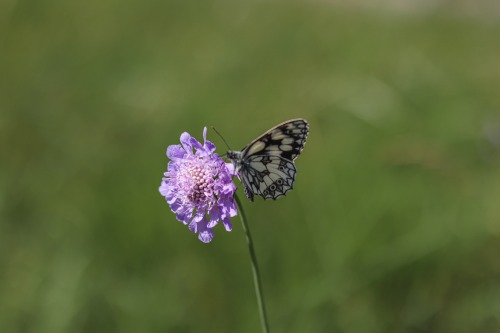 natur in deutschland