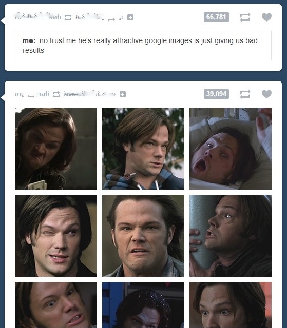 invisible-windowpane:oh Tumblr you come through every time