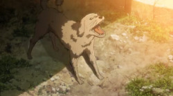 oeilvert:  THE (ANIME ONLY) DOG