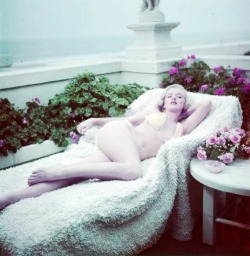 eternalmarilynmonroe:  Marilyn Monroe, 1951 © Anthony Beauchamp.