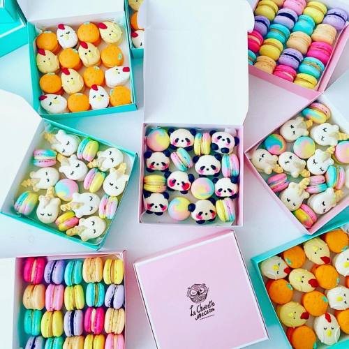 tasselfairy: This week is off to a sweet start! ✨ #macarons #studiomuccisugarcrush ✨ (: @wahdi_le.ch