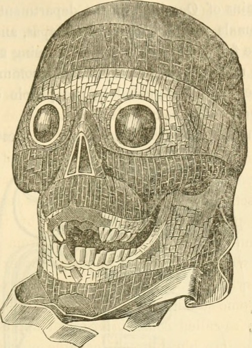 Ancient Mexican skull, Annals of the Lyceum of Natural History of New York