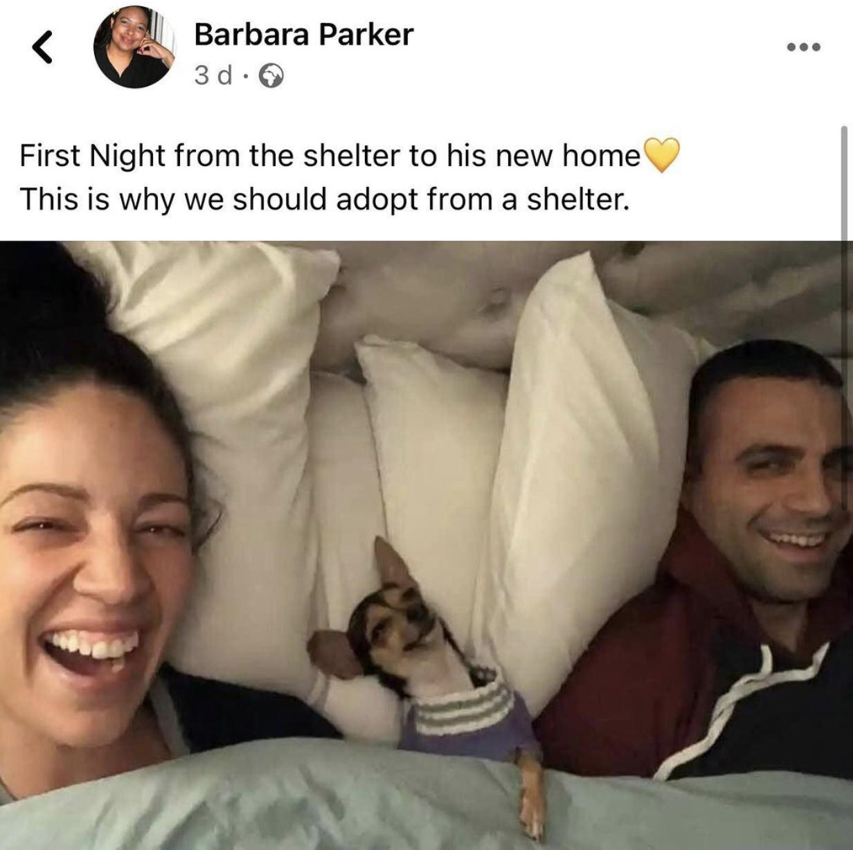 this is too wholesome look how happy that dog is!!!
